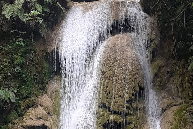 Half-Day Horseback Riding Tour in El Limón