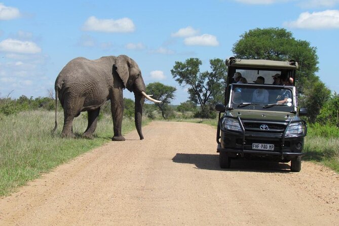Half Day Kruger Open Vehicle Safari From Marloth Park