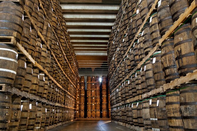 Half-Day Tour: Ron Barceló Factory Experience From Santo Domingo