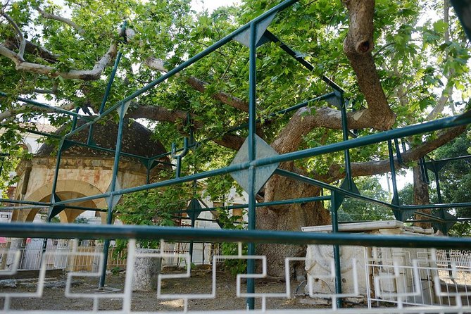 Independent Day Trip to Kos Island From Bodrum With Transfers