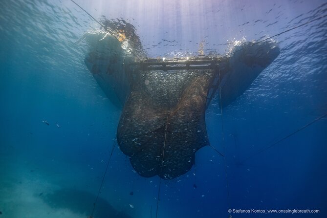 Kamiros Skala: Marine Life Experience