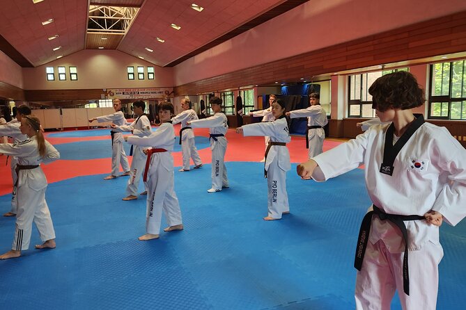 Korea Taekwondo Experience
