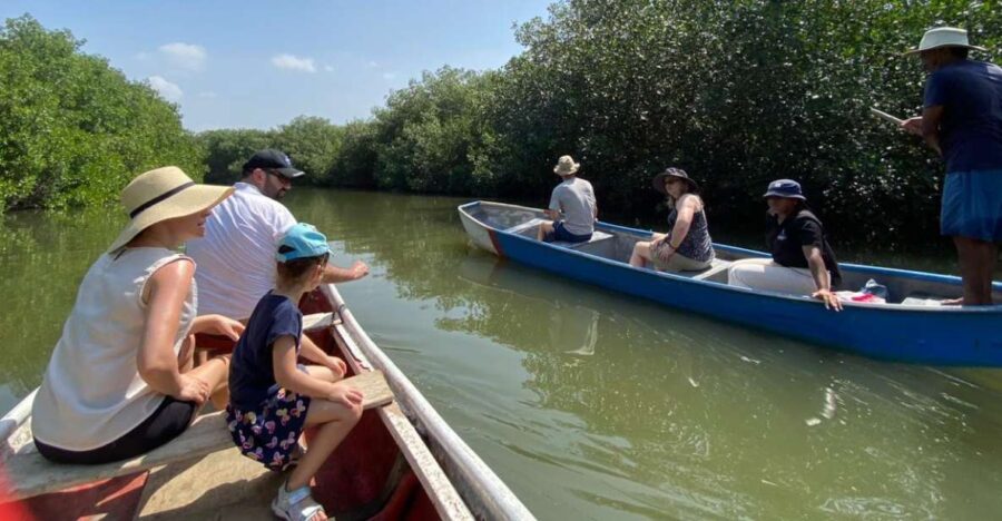 Mangrove Ecotour and Fishing in Cartagenas Natural Mangrove - Overview and Pricing