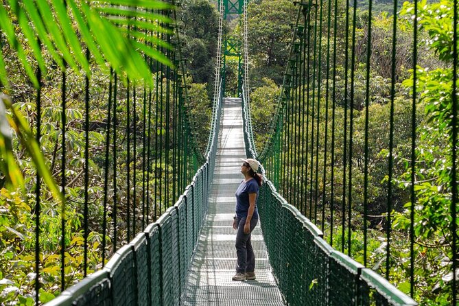 Monteverde Day Tour: Hanging Bridges + Extreme Zipline