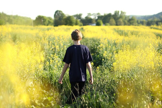 Norfolk Tour App, Hidden Gems Game and Big Britain Quiz (7 Day Pass) UK