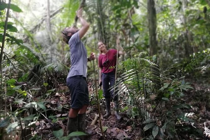 Pacaya Samiria 3Days/2nights – Amazon Wonder Expeditions