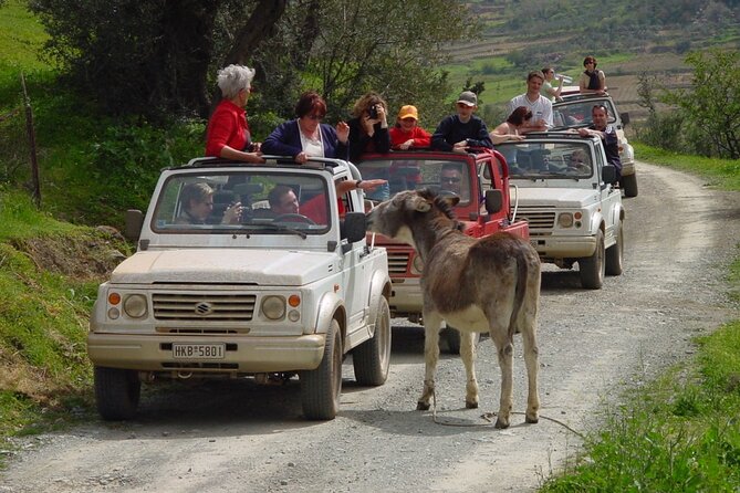 Plakias, Spili and Kotsifou Canyon Jeep Safari 4x4 - Pricing and Booking