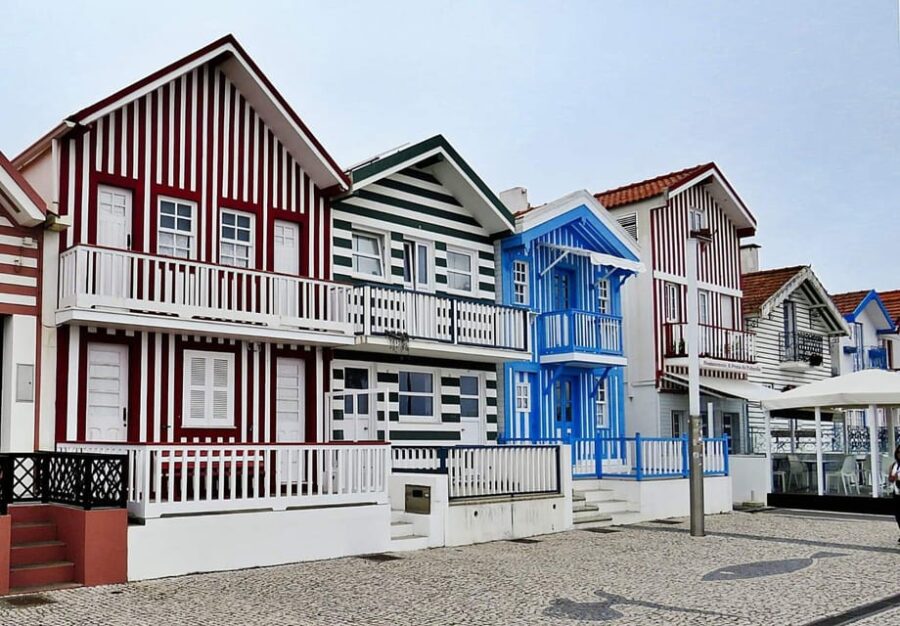 Porto: Aveiro & Coimbra Private Tour, With Bairrada Lunch