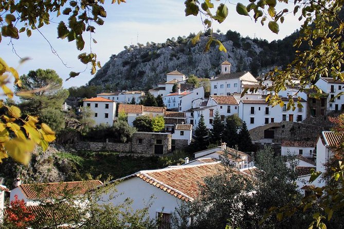 *Private Day Trip* From Jerez: the White Towns of Andalusia