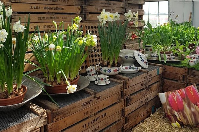 Private Day-trip to Keukenhof Gardens: Millions of Flowers in Bloom