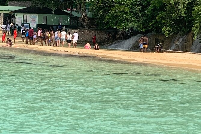 Private Dunns River and Bamboo Rafting Combo From Ocho Rios