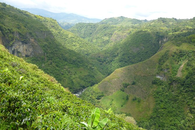 Private Guided Rafting on Magdalena River - Pricing and Confirmation
