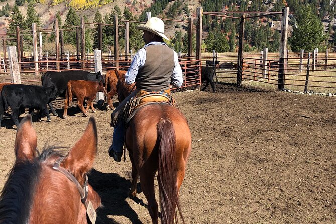 Private Horseback Riding in Wyoming