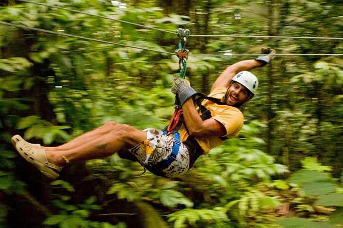 Rainforest Canopy Adventure From Vieux Fort or North Island, St Lucia