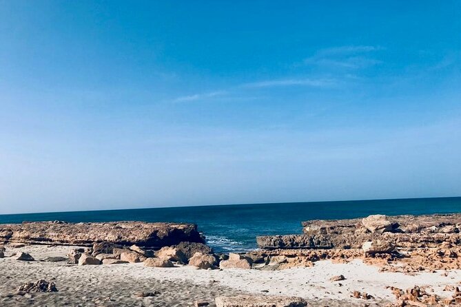 Sal Island in a Group – A Full Day Exploring the Highlights