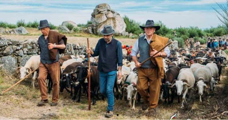 Serra De Montemuro Shepherds Trail Tour