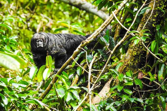 Slow Travel From Quito to Cuyabeno Amazon