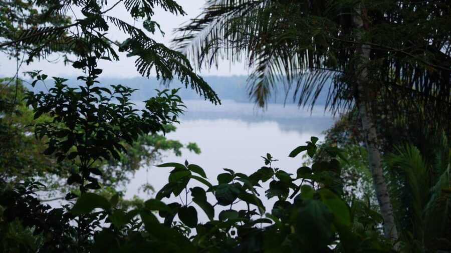Tambopata All in One
