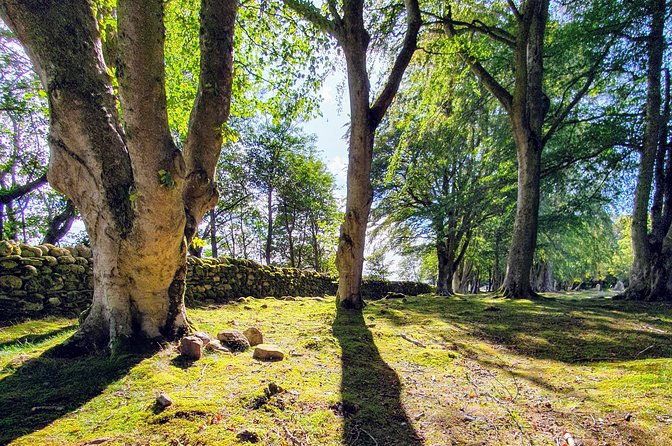 The Quieter Side of Loch Ness