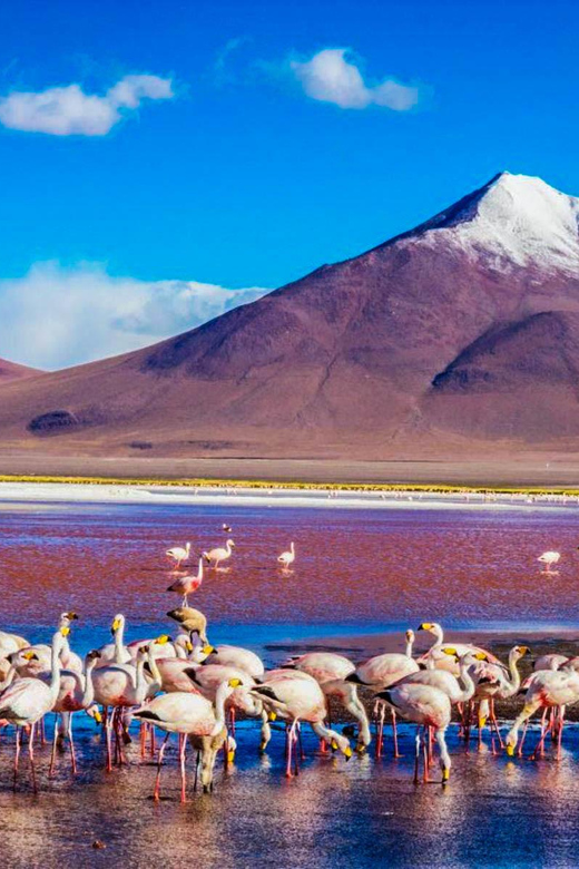Uyuni and San Pedro De Atacama Salt Flats