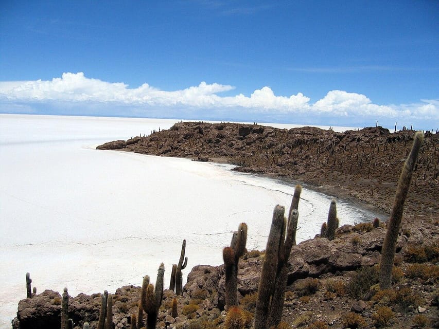 Uyuni Salt Flat and Incahuasi Island 5 Days - Tour Overview and Pricing