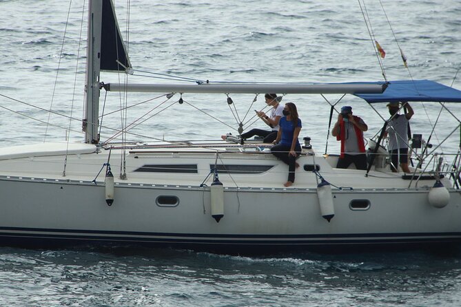 Whale & Dolphin Watching Boat Trip in Tenerife On a Sailing Boat (3 Hr)