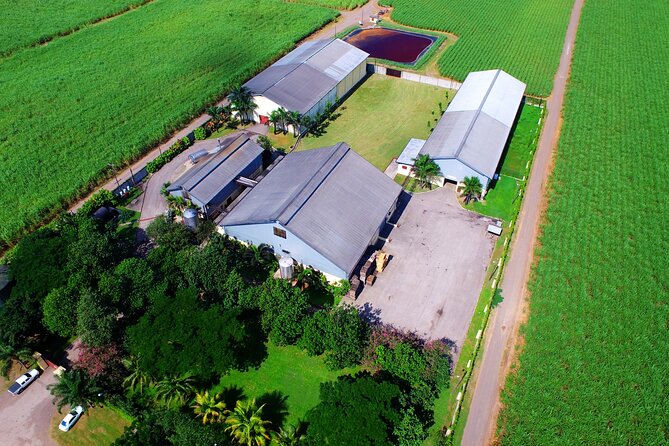 Worthy Park Estate Rum Tour From Ocho Rios