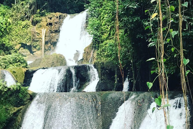 Ys Falls, Floyd’s Pelican Bar, Black River Safari