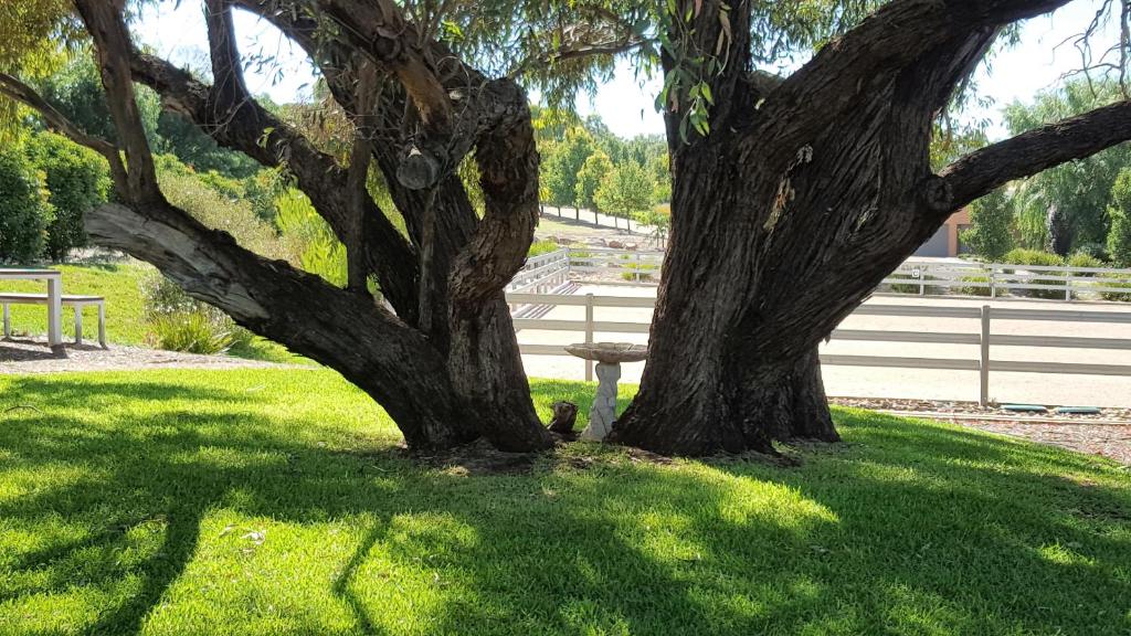 Equestrian Farm Stay Review