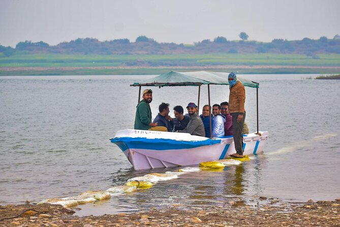 National Chambal Sanctuary With Shared River Safari & Transfers - Safari Experience