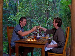 Wollumbin Palms Rainforest Retreat - Accommodation Options