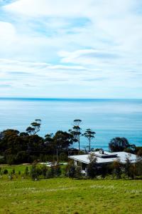 Dragonfly Lodge - Guest Experience & Reviews