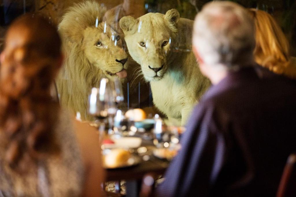 Jamala Wildlife Lodge Review