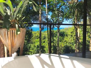 Daintree Magic Holiday House - Policies and Additional Information