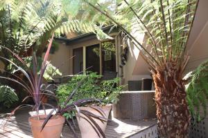 Linden Gardens Rainforest Retreat - Outdoor Pursuits