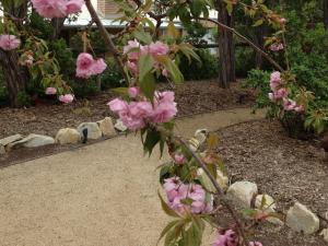 Silverleaf Cottage - Surrounding Attractions