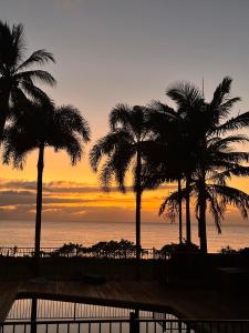 ABSOLUTE BEACHFRONT BLISS - NEWELL BEACH - 10 Metres to the Ocean - Local Attractions