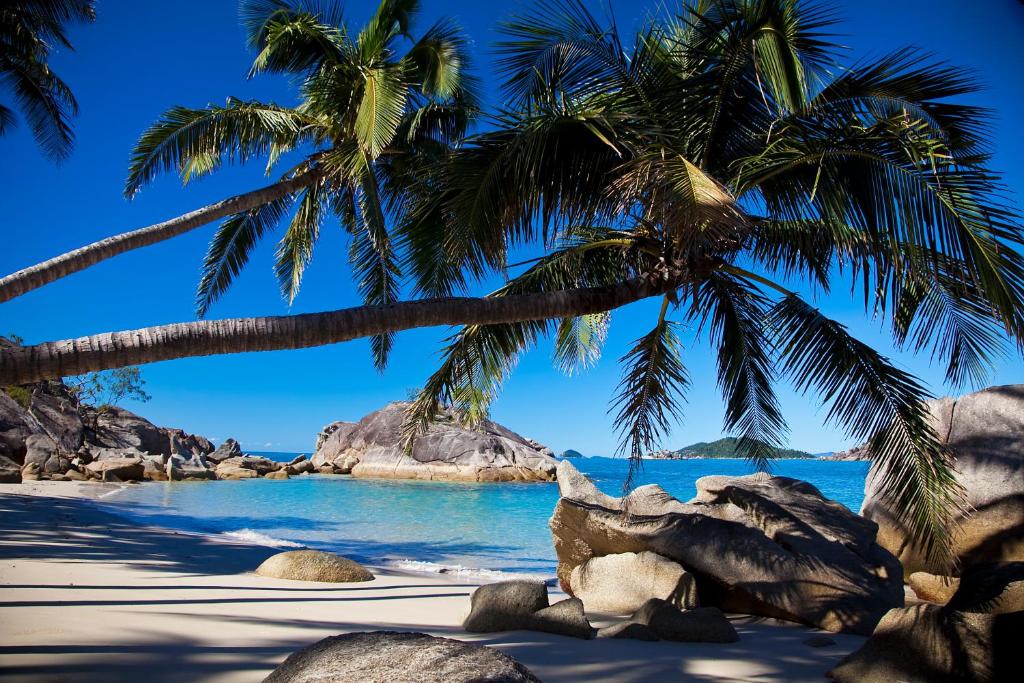 Bedarra Beach House Review