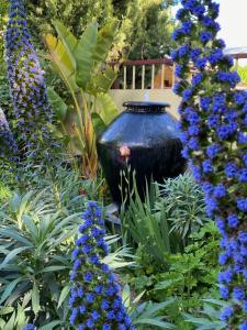 Rent Your Own Historic Hotel for Holidays & Events - Entertainment and Activities