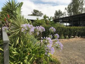 Riverside Farm Retreat - Local Attractions