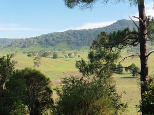The Old School Bed and Breakfast - Historical Significance