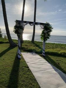 ABSOLUTE BEACHFRONT BLISS - NEWELL BEACH - 10 Metres to the Ocean - Guest Reviews