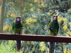 Aroha Vacation Home Review - Booking and Policies