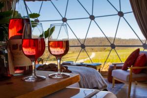 Domescapes in the Vines - About the Hosts and Company