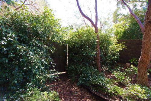 Aroha Vacation Home Review - About Your Stay