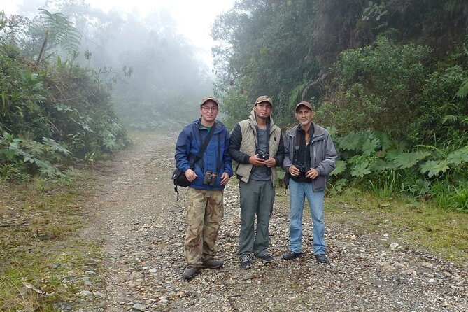 Birdwatching Tour, via Gualaceo to the Eastern Slope From Cuenca