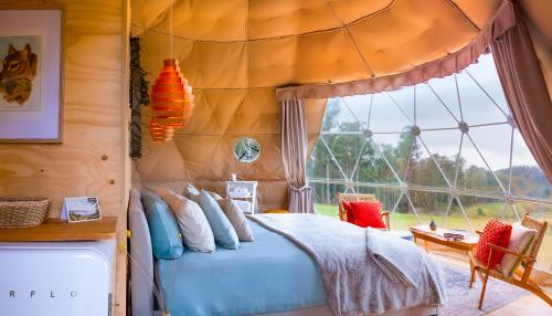 Domescapes in the Vines - About Your Stay