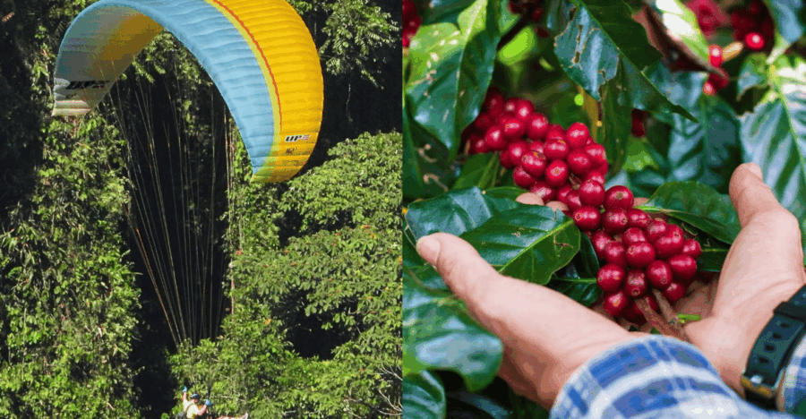 From Guatape: PARAGLIDING and Complete COFFE TOUR - Activity Overview