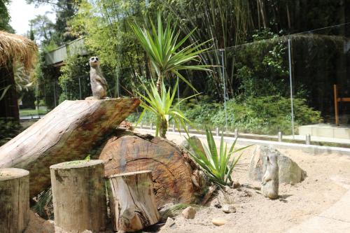 Jamala Wildlife Lodge - About Your Stay