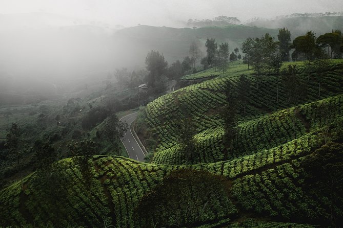 07 Days Sri Lanka Tour – Splendid Ceylon Review